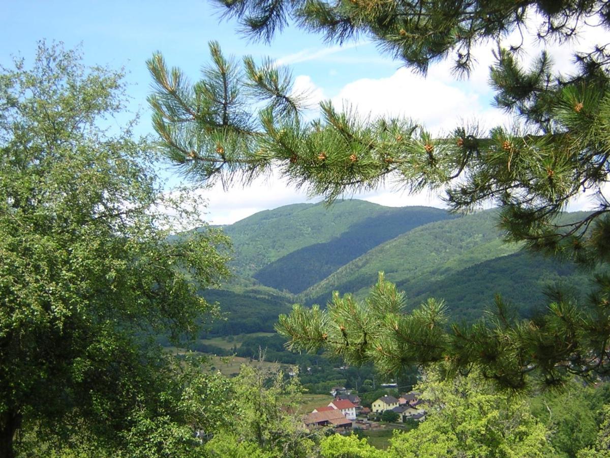 Gite Leonline Sur Les Hauteurs De Masevaux -Au Pied Des Vosges Buitenkant foto