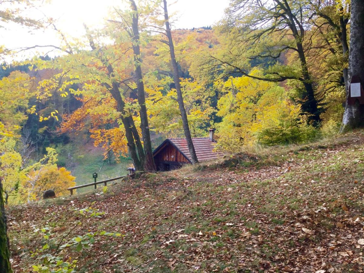 Gite Leonline Sur Les Hauteurs De Masevaux -Au Pied Des Vosges Buitenkant foto