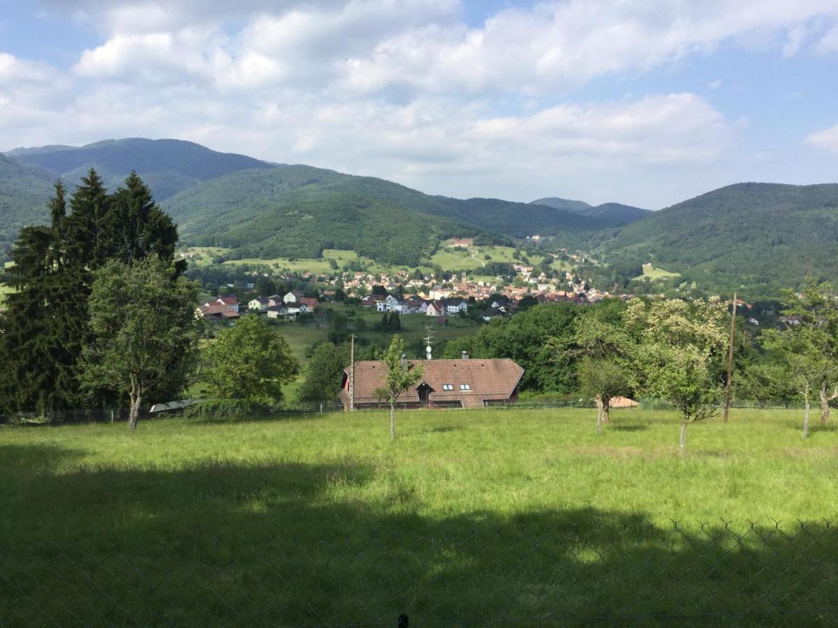 Gite Leonline Sur Les Hauteurs De Masevaux -Au Pied Des Vosges Buitenkant foto