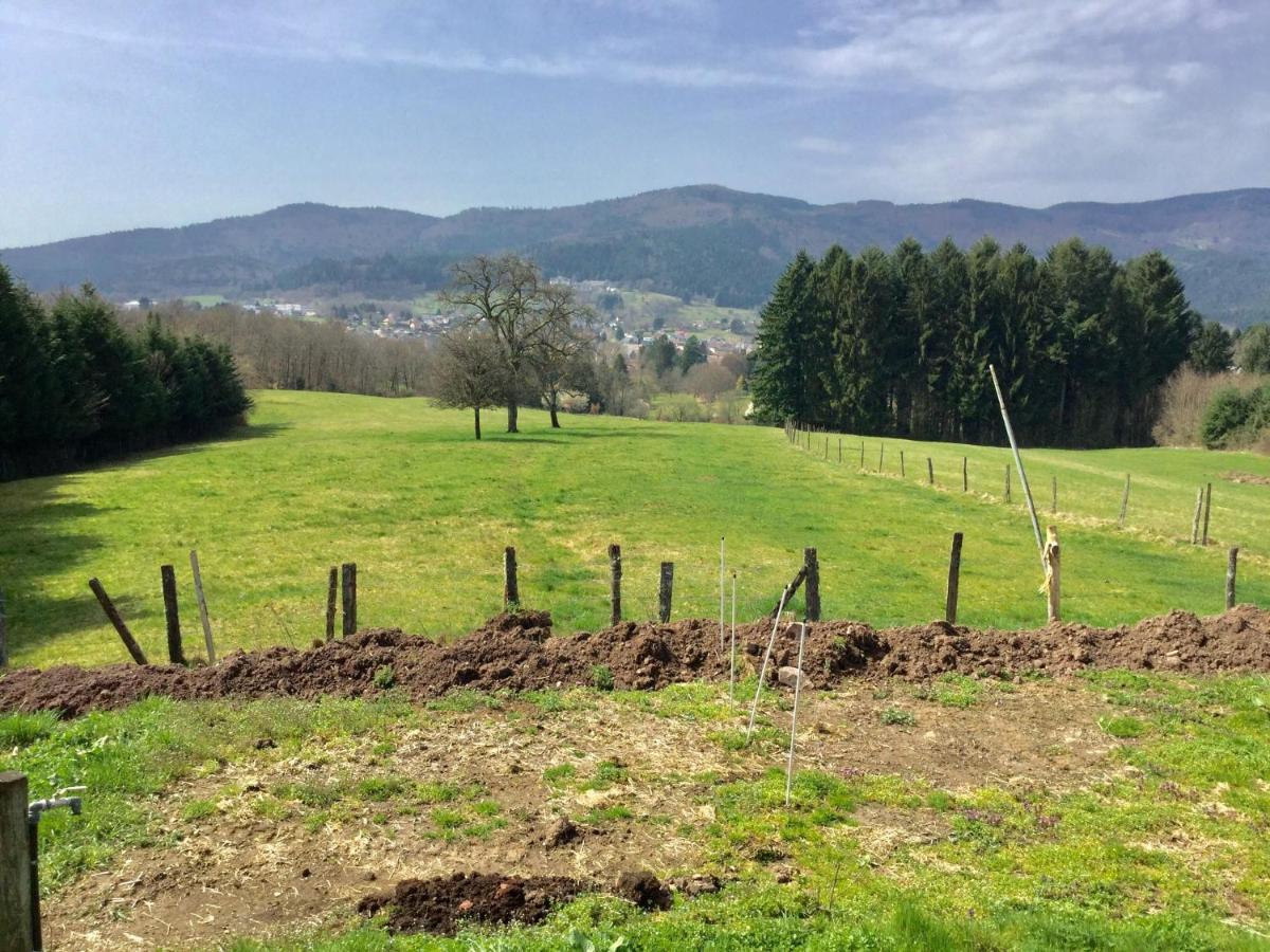 Gite Leonline Sur Les Hauteurs De Masevaux -Au Pied Des Vosges Buitenkant foto
