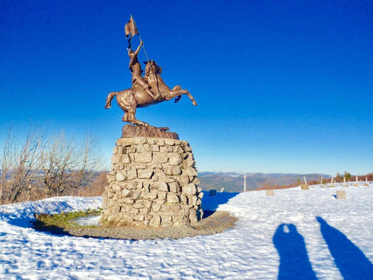 Gite Leonline Sur Les Hauteurs De Masevaux -Au Pied Des Vosges Buitenkant foto