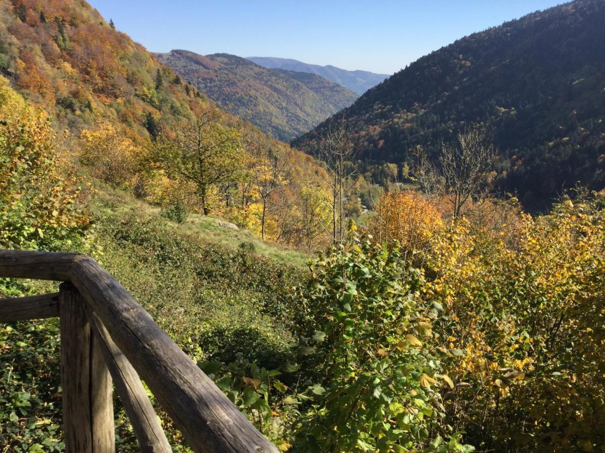 Gite Leonline Sur Les Hauteurs De Masevaux -Au Pied Des Vosges Buitenkant foto