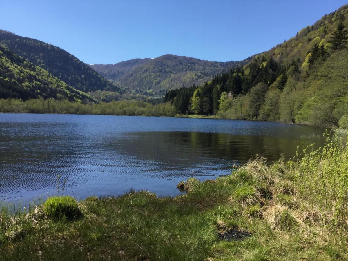 Gite Leonline Sur Les Hauteurs De Masevaux -Au Pied Des Vosges Buitenkant foto