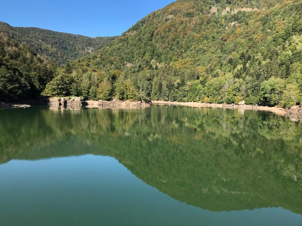 Gite Leonline Sur Les Hauteurs De Masevaux -Au Pied Des Vosges Buitenkant foto