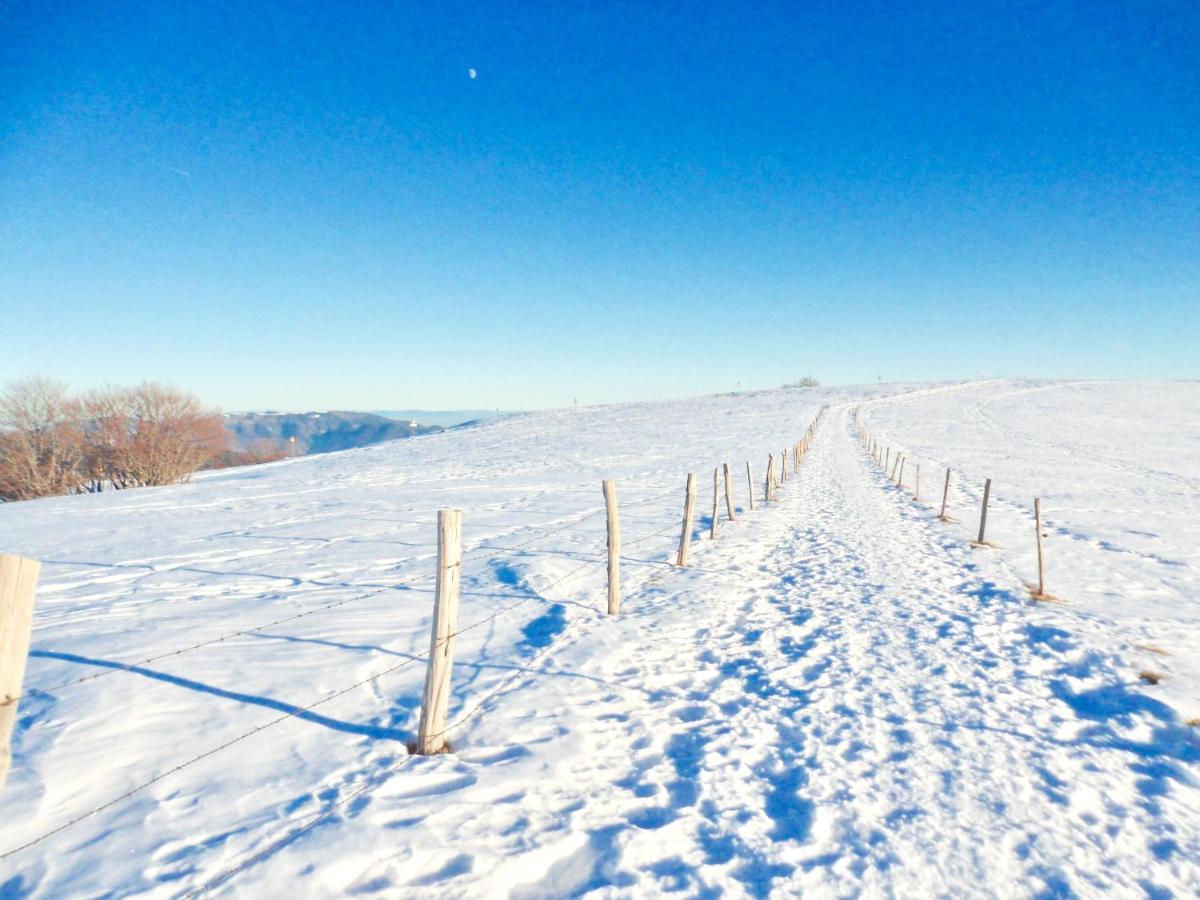 Gite Leonline Sur Les Hauteurs De Masevaux -Au Pied Des Vosges Buitenkant foto