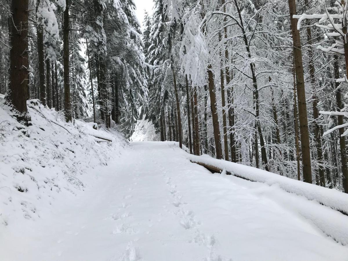 Gite Leonline Sur Les Hauteurs De Masevaux -Au Pied Des Vosges Buitenkant foto