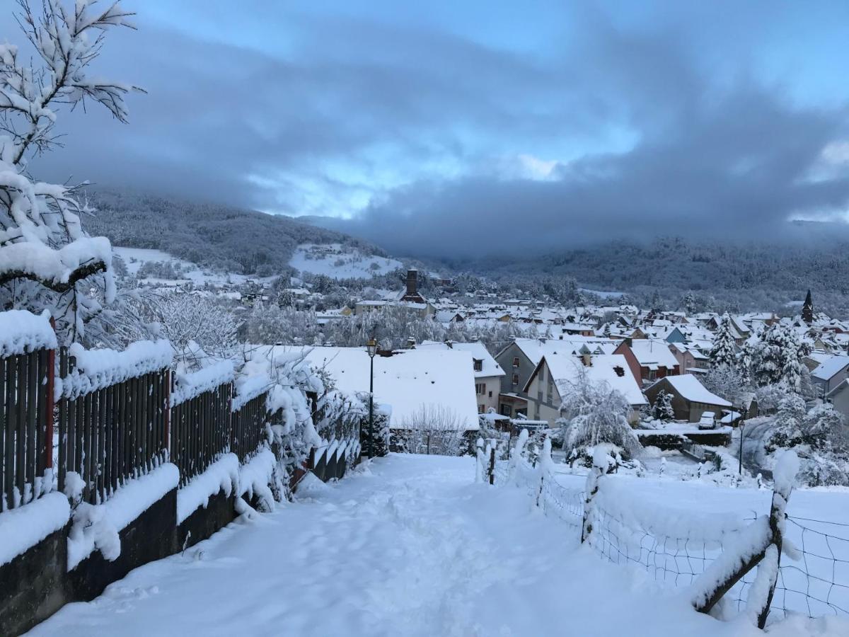 Gite Leonline Sur Les Hauteurs De Masevaux -Au Pied Des Vosges Buitenkant foto