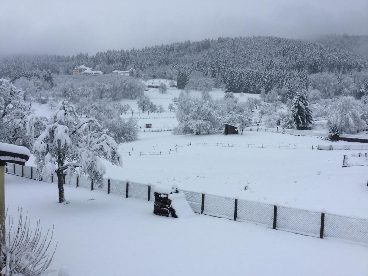 Gite Leonline Sur Les Hauteurs De Masevaux -Au Pied Des Vosges Buitenkant foto
