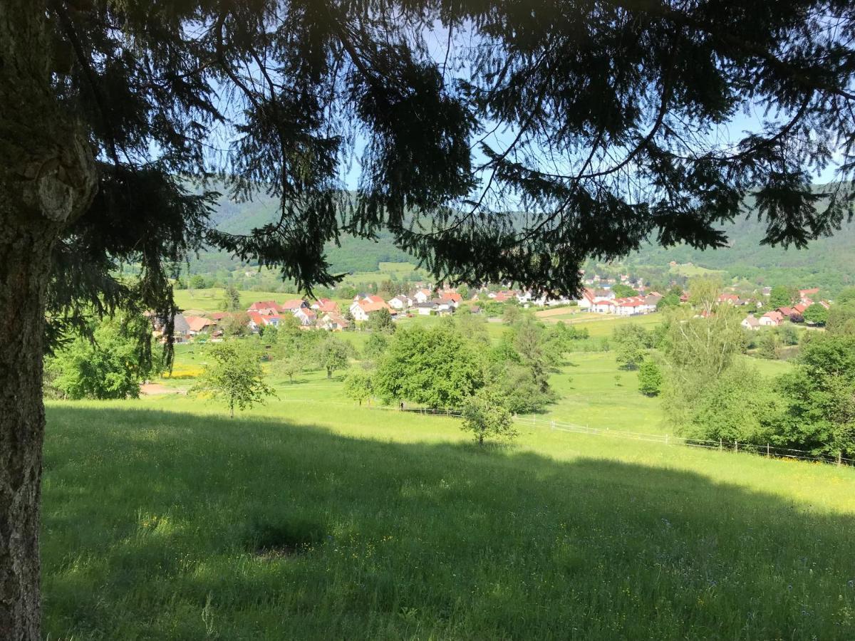 Gite Leonline Sur Les Hauteurs De Masevaux -Au Pied Des Vosges Buitenkant foto